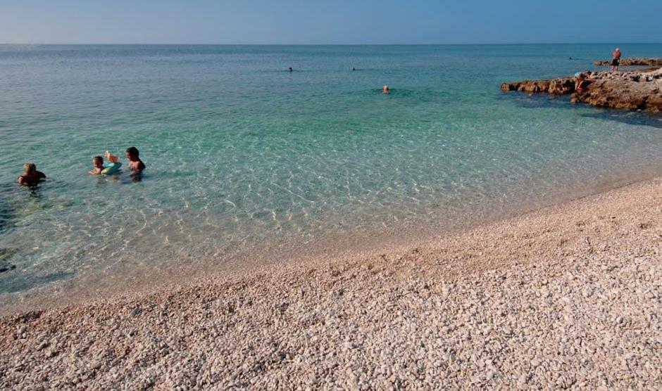 Djana Zadar